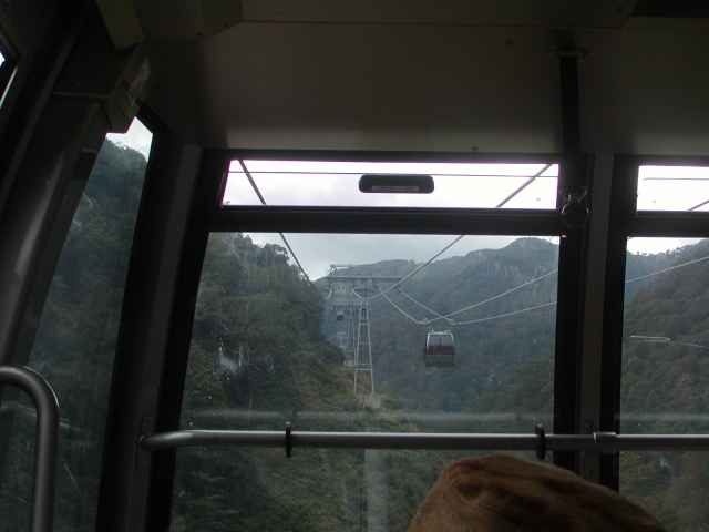 湾でパンダは見れる？台北市立動物園の行き方や頭数、混雑回避法を伝授