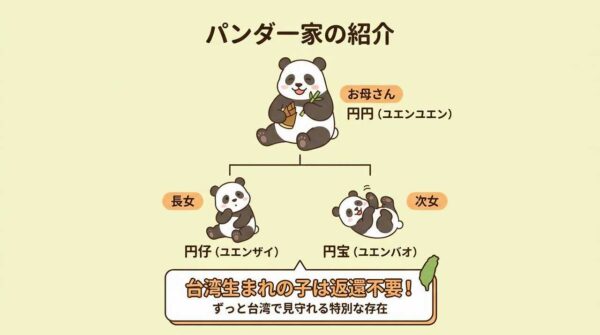 湾でパンダは見れる？台北市立動物園の行き方や頭数、混雑回避法を伝授